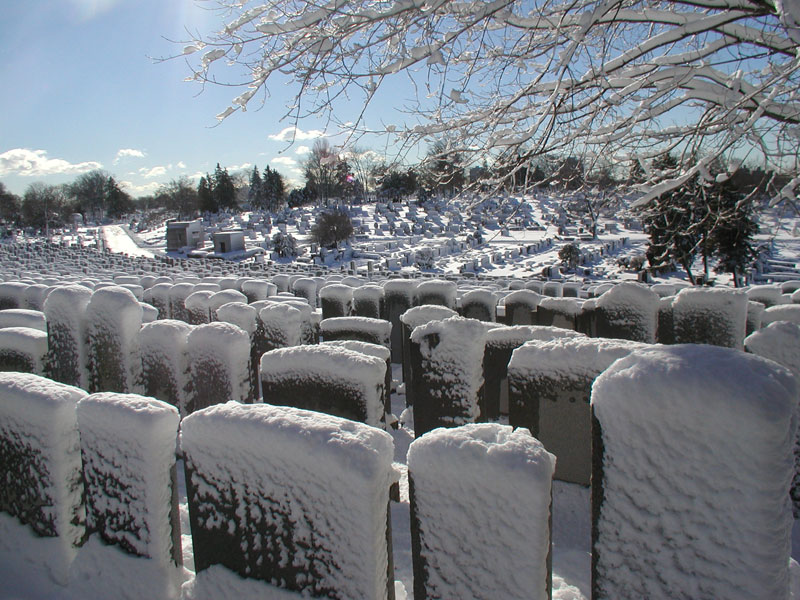 Snow covered grave stones